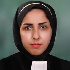 پارمیس سیاسی